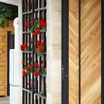 Antares